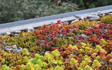the cost of Ord green roof installation