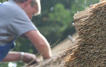 professional Ord thatchers