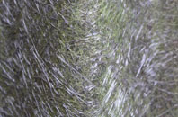 Ord fibreglass roof work